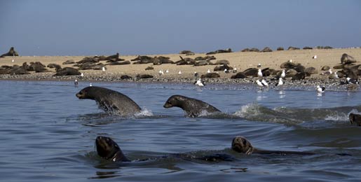 Wohnmobile mieten Walvis Bay